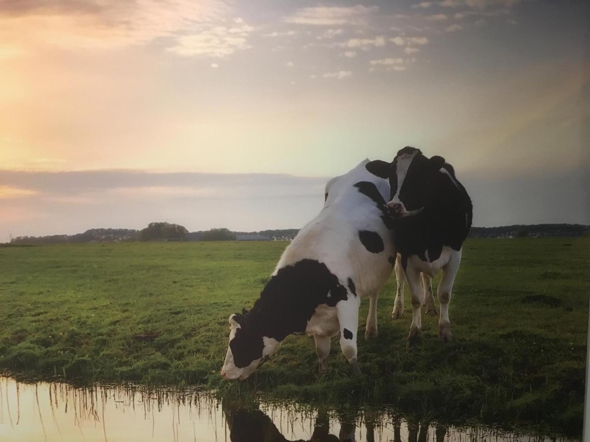 Den Ilp Amsterdam Countryside Met Airco ,Geweldig Uitzicht, Luxe Keuken,Wasmachine,Droger,Gratis Fietsen 아파트 외부 사진